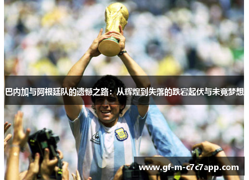 巴内加与阿根廷队的遗憾之路：从辉煌到失落的跌宕起伏与未竟梦想
