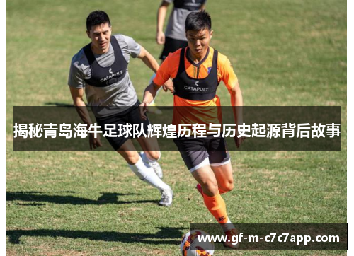 揭秘青岛海牛足球队辉煌历程与历史起源背后故事 揭秘青岛海牛足球队辉煌历程与历史起源背后故事