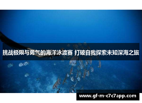 挑战极限与勇气的海洋泳渡赛 打破自我探索未知深海之旅