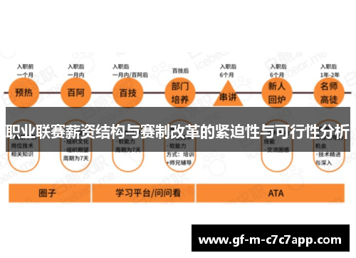 职业联赛薪资结构与赛制改革的紧迫性与可行性分析 职业联赛薪资结构与赛制改革的紧迫性与可行性分析