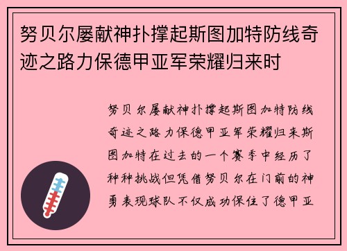 努贝尔屡献神扑撑起斯图加特防线奇迹之路力保德甲亚军荣耀归来时 努贝尔屡献神扑撑起斯图加特防线奇迹之路力保德甲亚军荣耀归来时